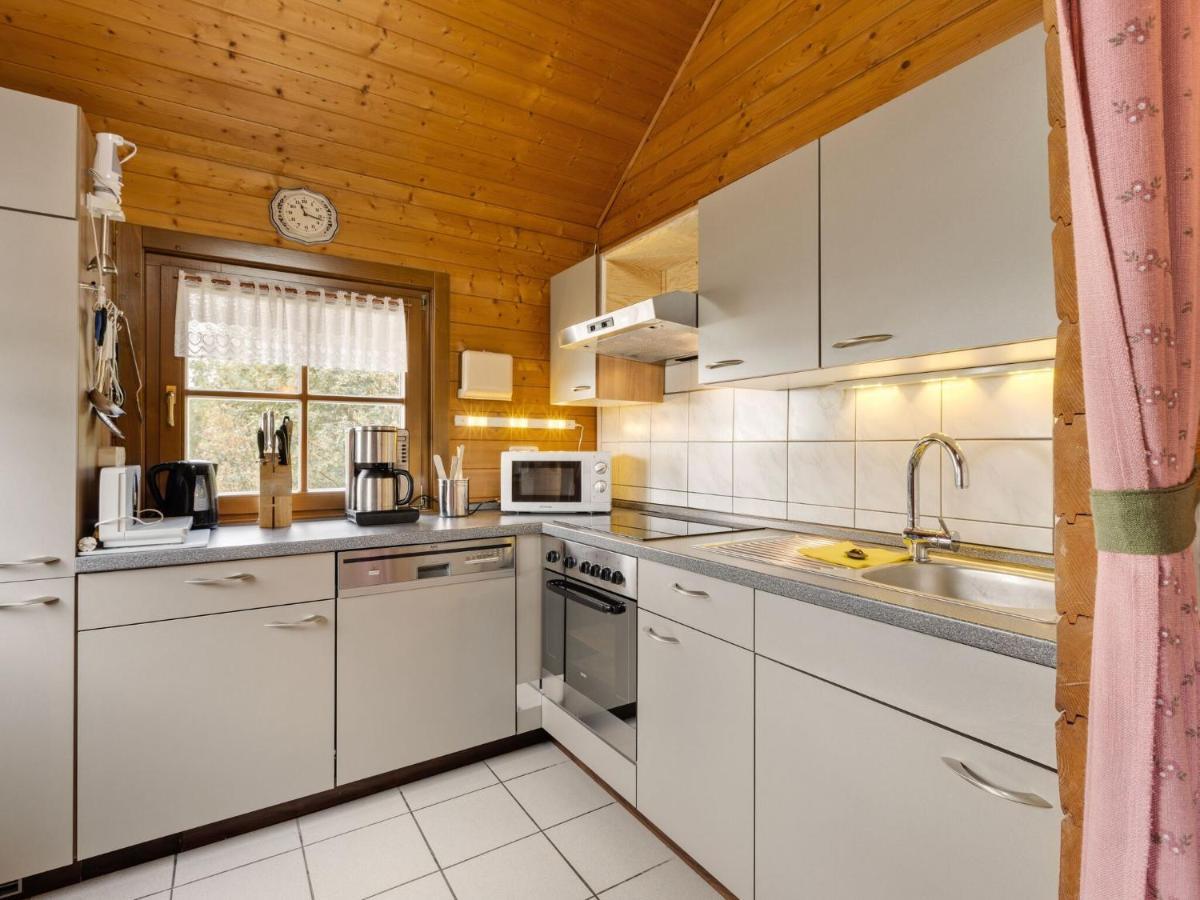 Chalet In Hinterrod Thuringia With Sauna Eisfeld Exteriér fotografie