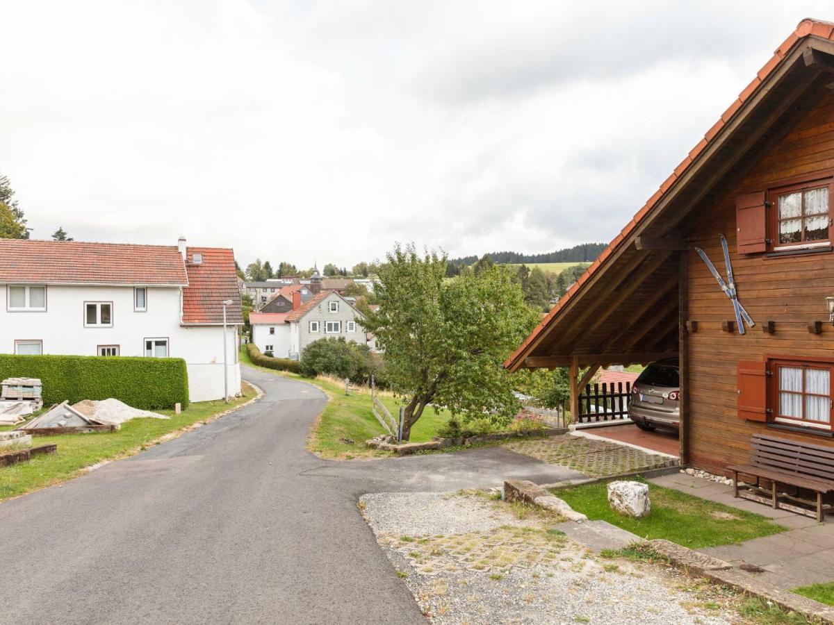 Chalet In Hinterrod Thuringia With Sauna Eisfeld Exteriér fotografie